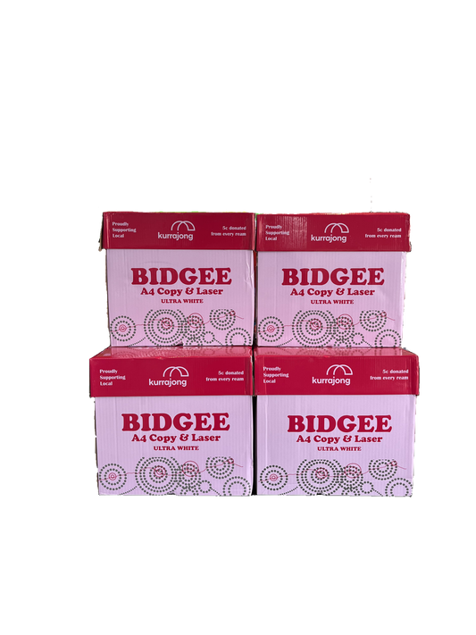 Box Of Hampden Bridge Edition A4 Paper - White